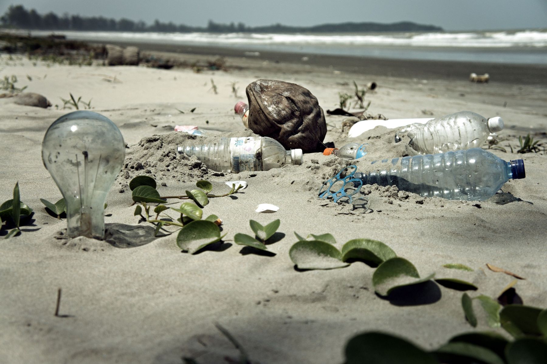 Plastic-eating-bacteria-could-solve-the-problem-of-plastic-pollution-2