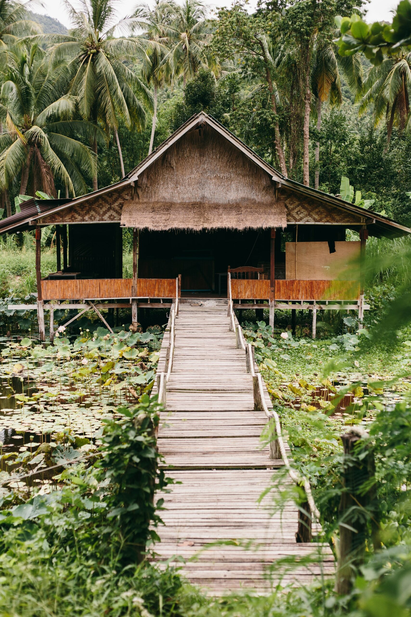 pexels-cottonbro-5602426