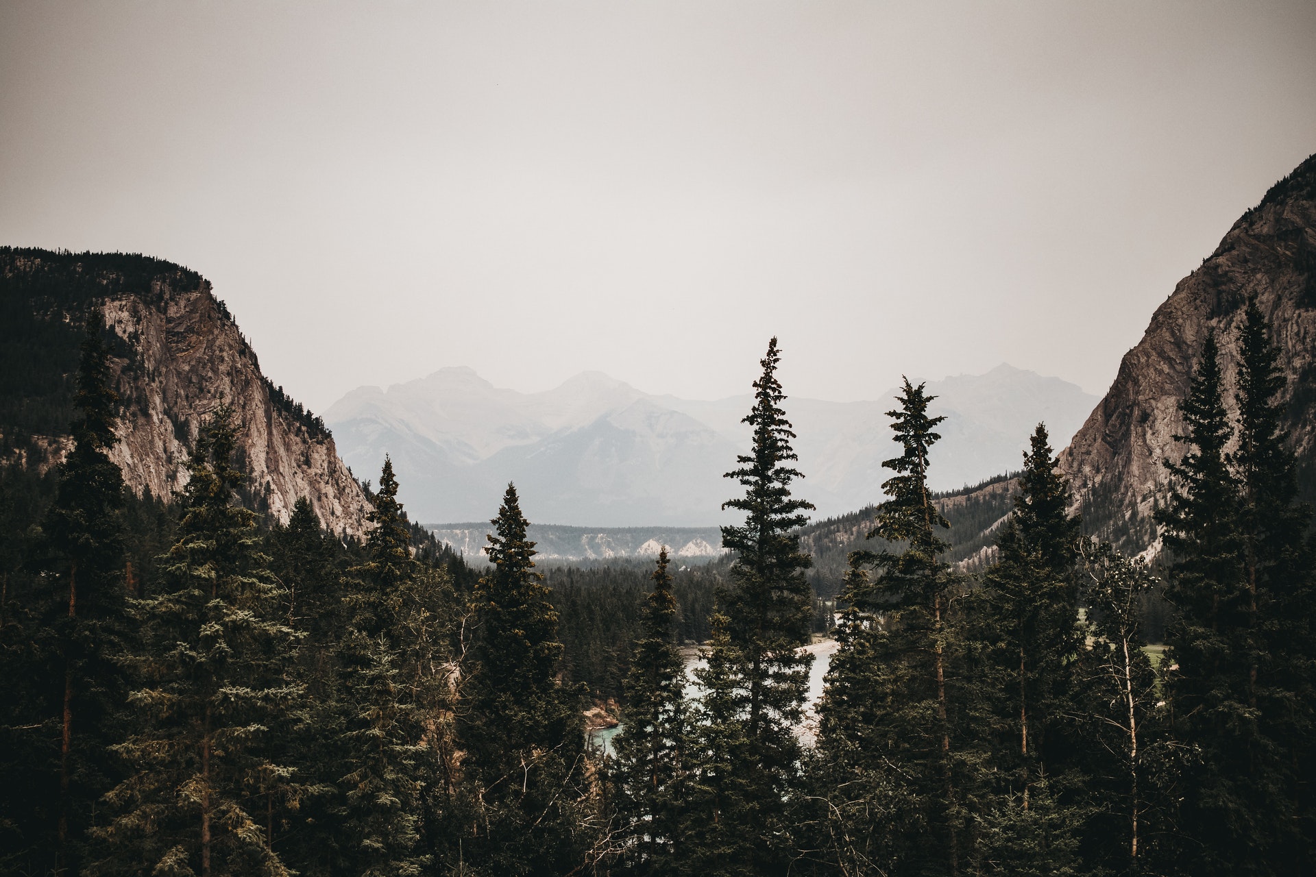 pexels-lauren-forson-2801710 (1)