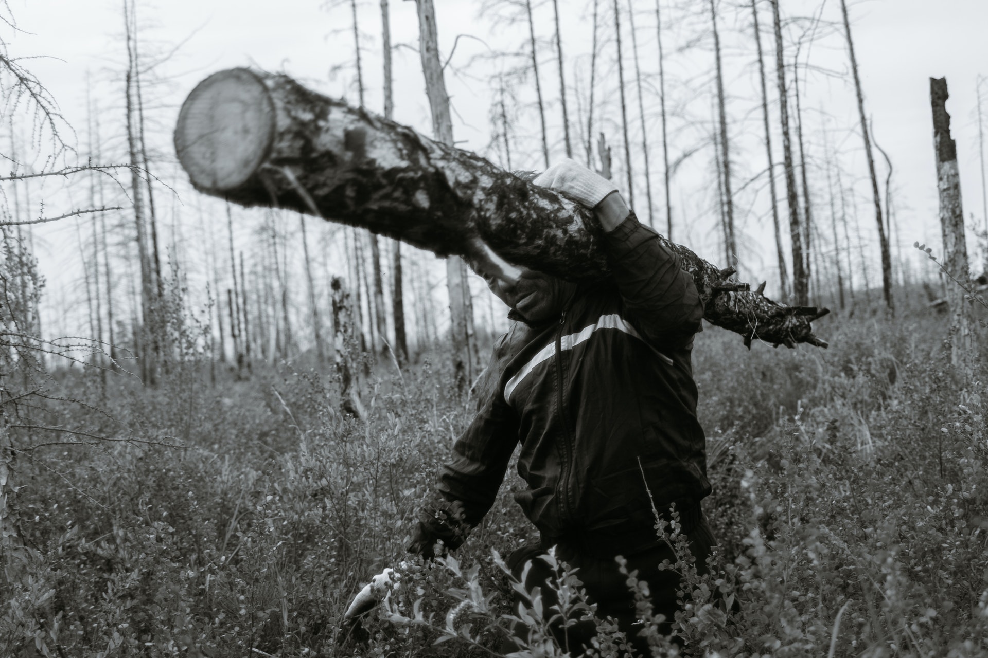 pexels-plato-terentev-5889659